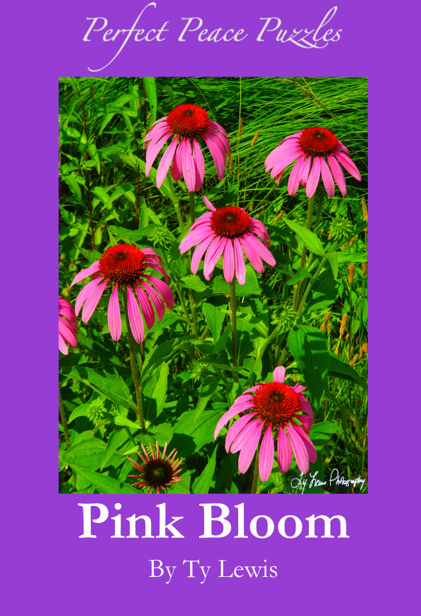 "Pink Bloom" by Ty Lewis