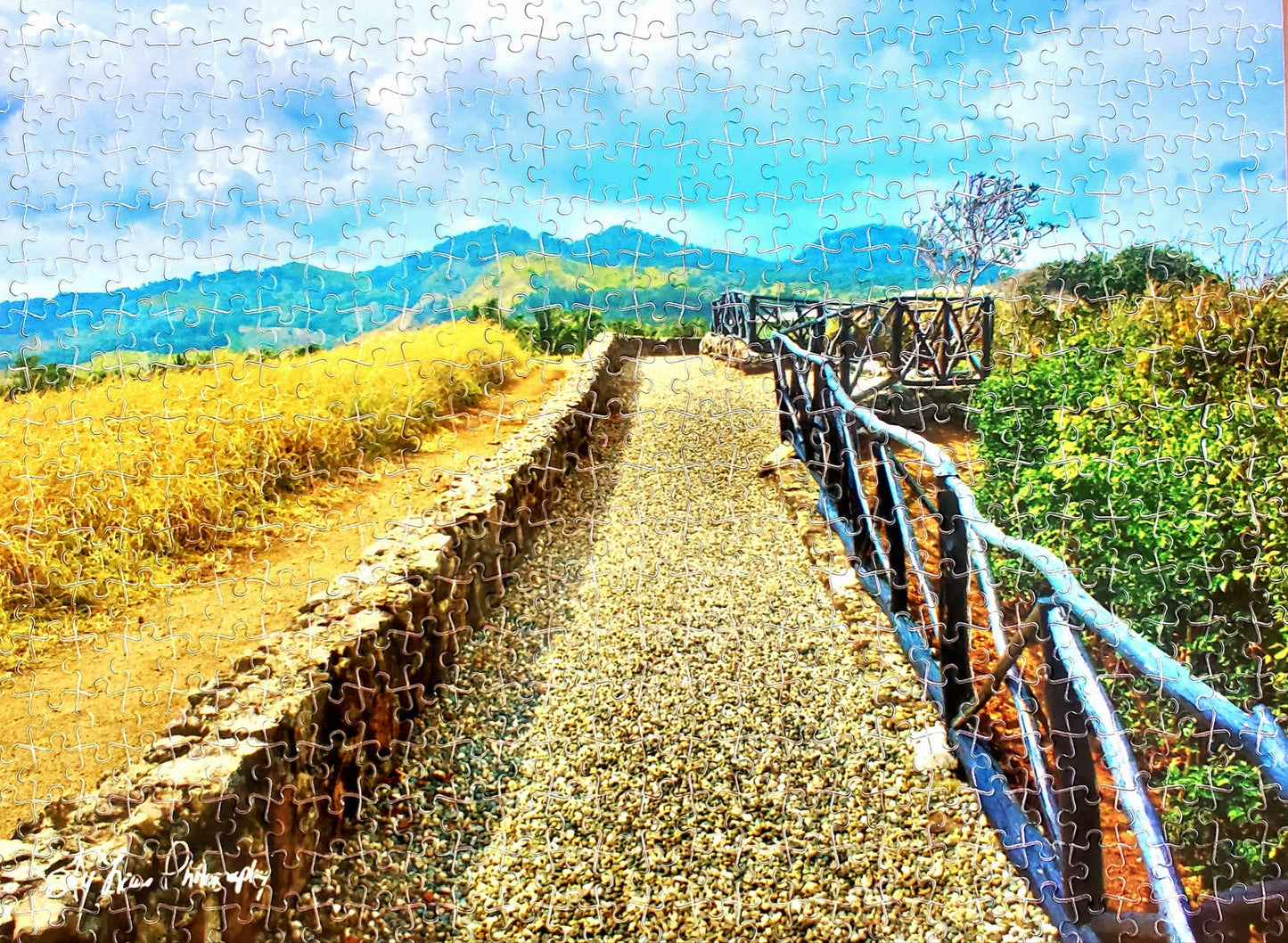 "Pathway Forward" by Ty Lewis - **TOP SELLER**