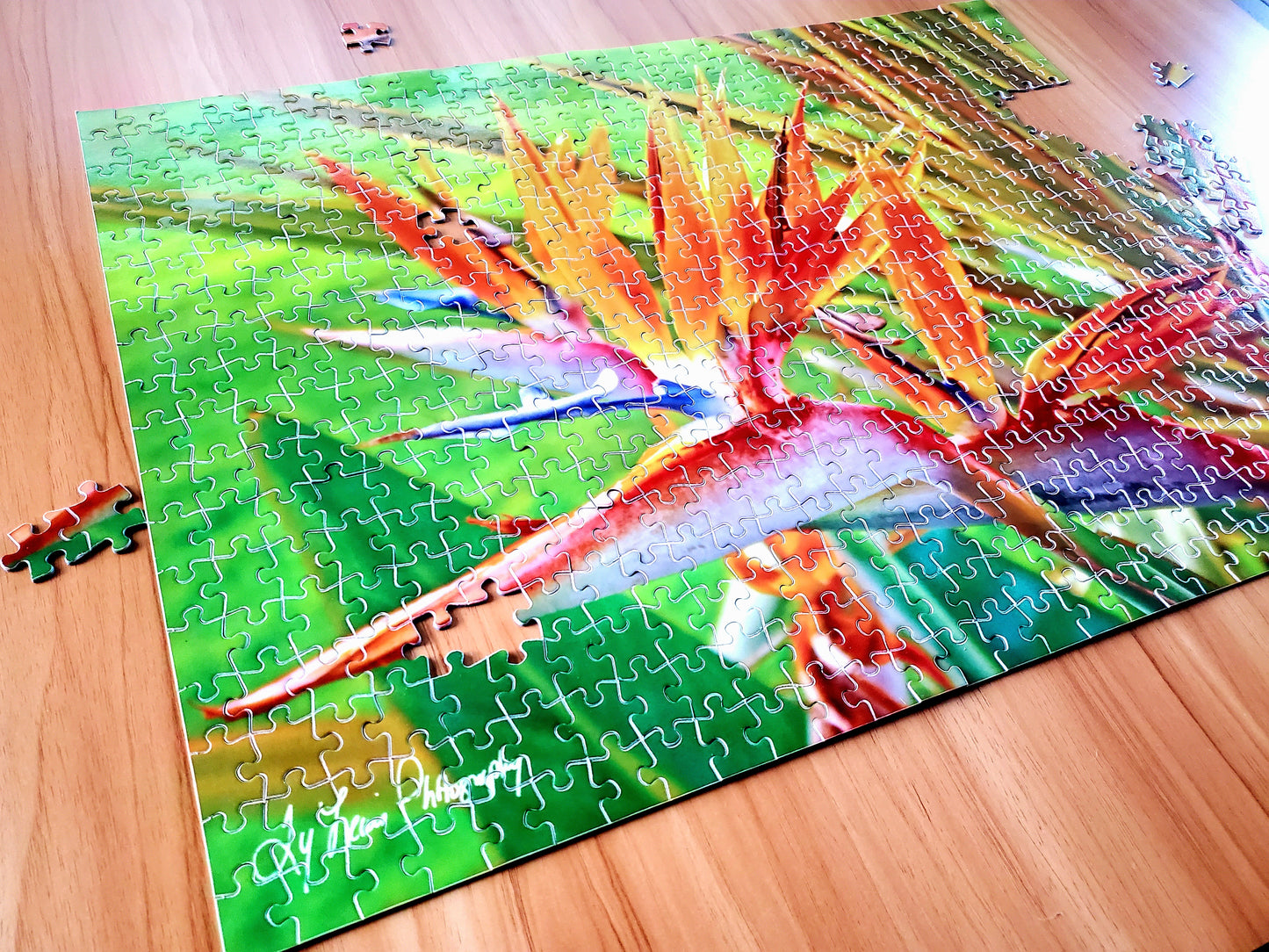 "Orange Bird of Paradise" by Ty Lewis