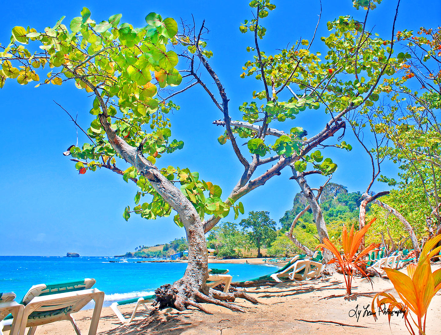 "Beach Sight" by Ty Lewis