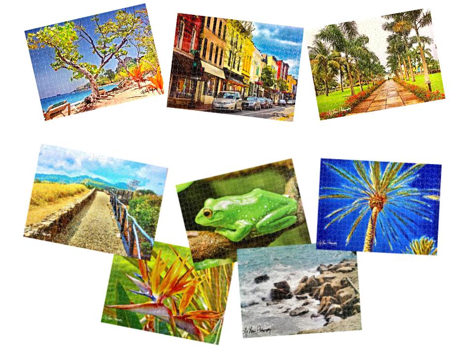 "Perfect Peace Puzzles' Collection" by Ty Lewis