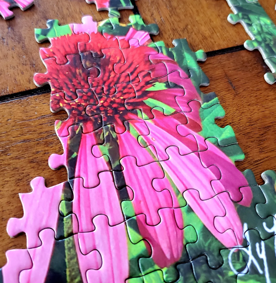 "Pink Bloom" by Ty Lewis