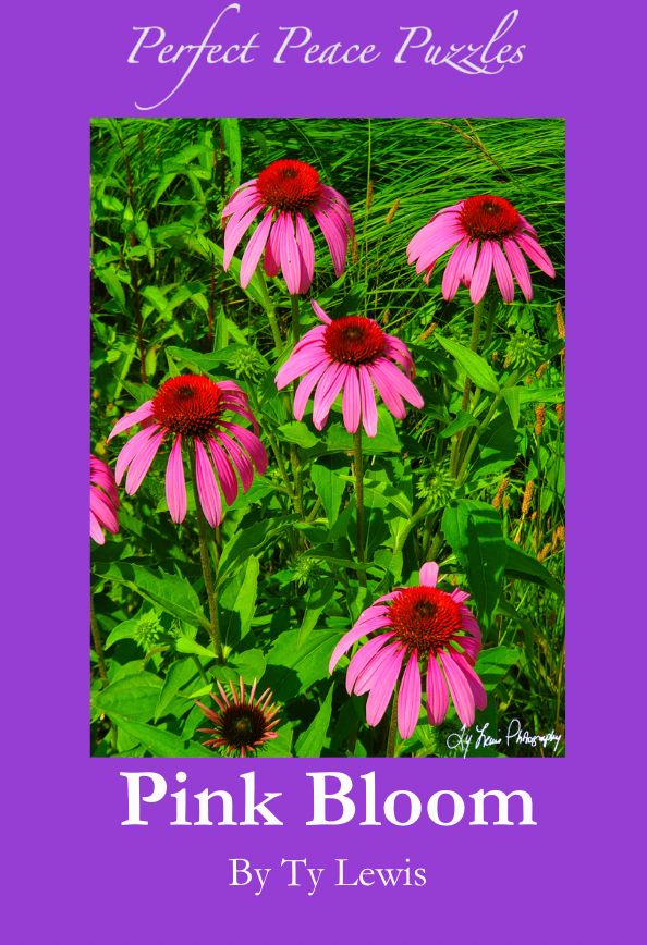 "Pink Bloom" by Ty Lewis (Pre-order Now!)