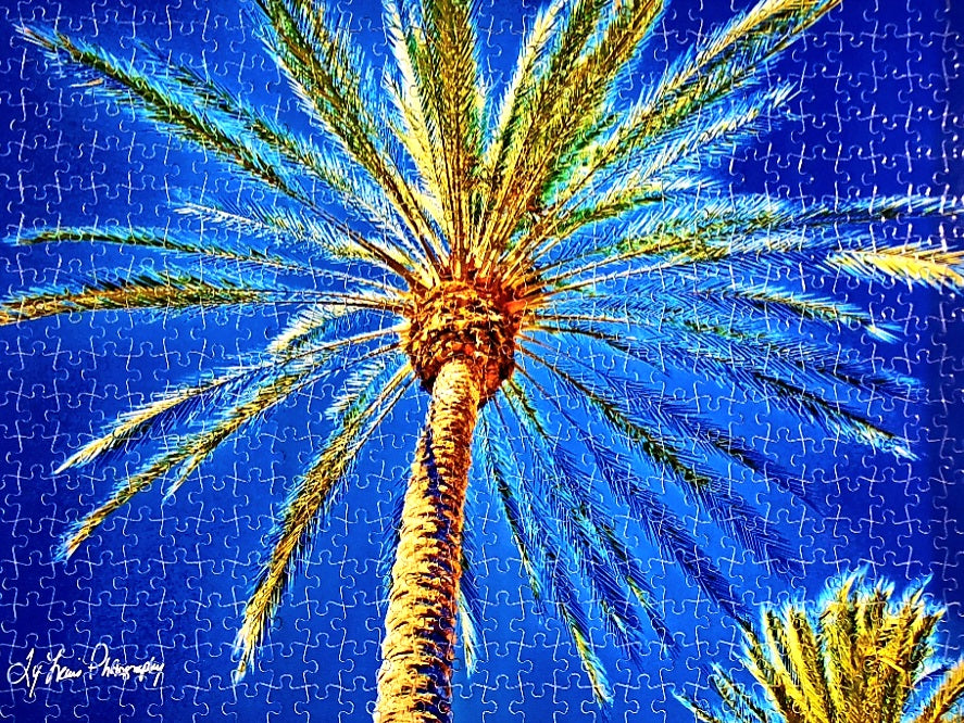 "Blue Palm Sky" by Ty Lewis